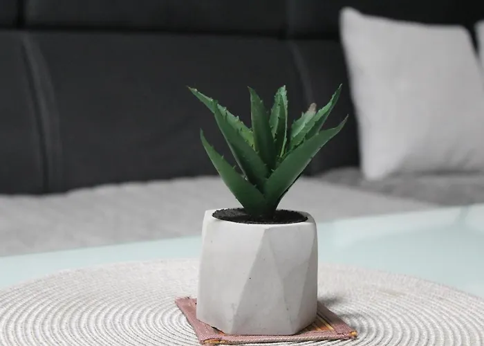 Amina-ahmad Vinac-jajce *